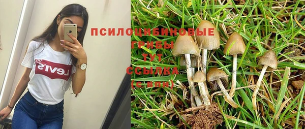 MESCALINE Горнозаводск