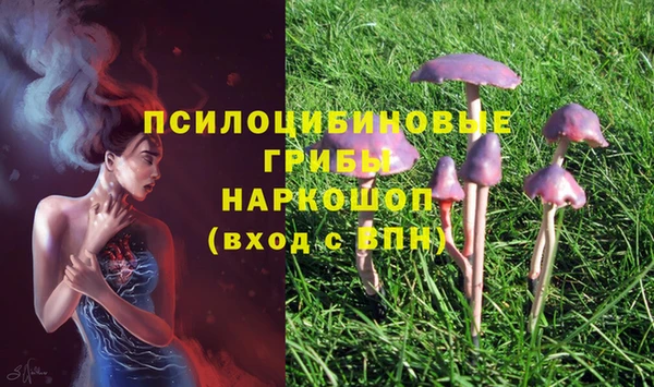 кристаллы Горно-Алтайск