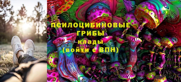 дурь Горняк